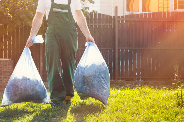 Best Furniture Removal Near Me  in Livonia, MI