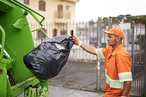 Best Yard Cleanup Services  in Livonia, MI